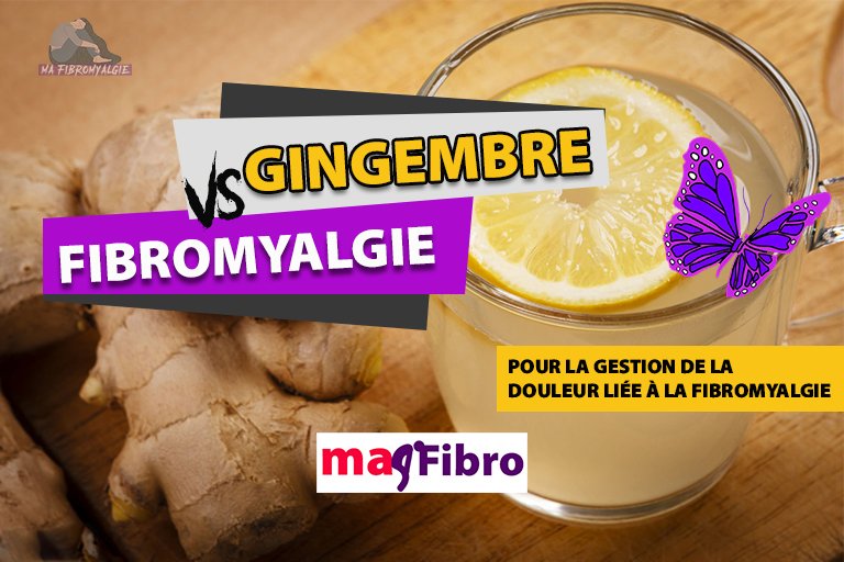 « Exploiter le gingembre pour la gestion de la douleur liée à la fibromyalgie »